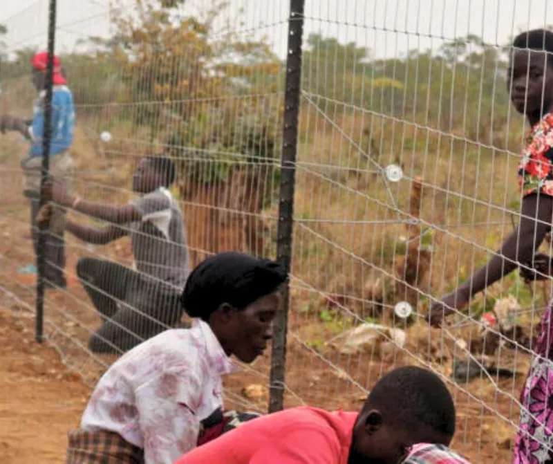 Aerial view of a winding river in the safari landscape at sunset