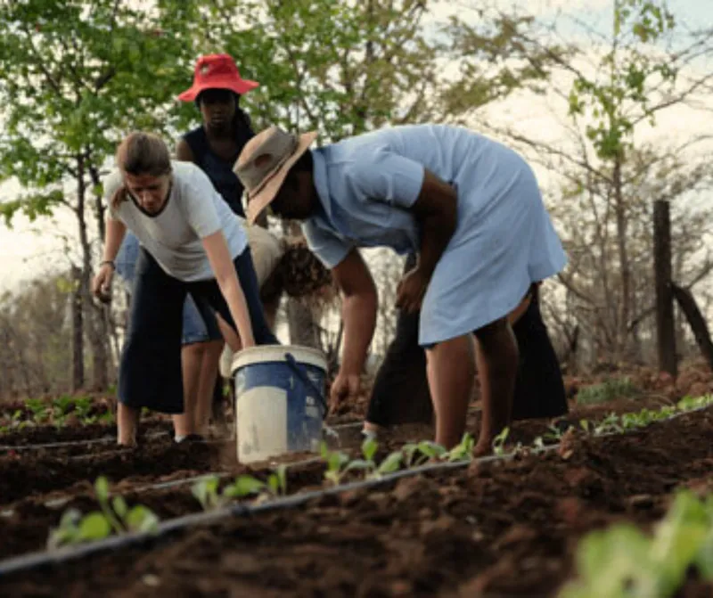 Leopard and cub resting in the shade